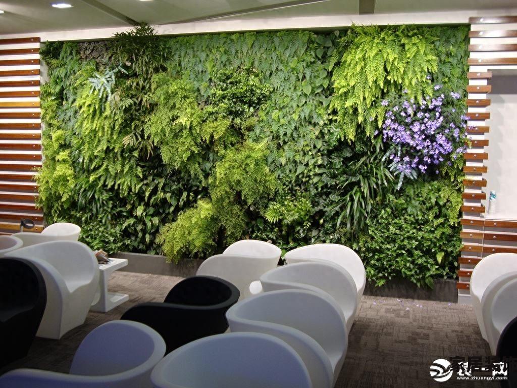 2023年绿植墙多少钱一平米 绿色植物墙6款设计方案